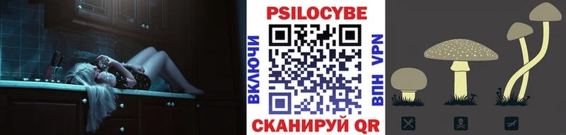 omg tor  Амурск  Псилоцибиновые грибы MAGIC MUSHROOMS 