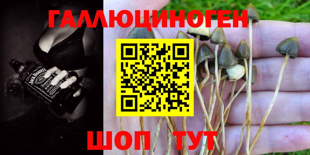 Псилоцибиновые грибы прущие грибы  Вход с VPN  Псилоцибиновые грибы Psilocybe  Амурск 