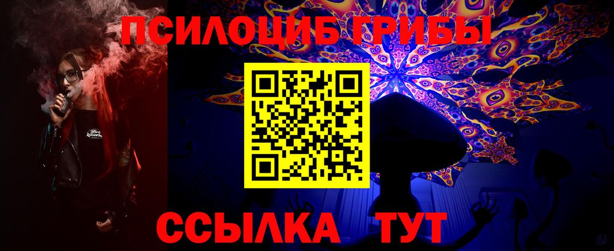 Галлюциногенные грибы прущие грибы Амурск