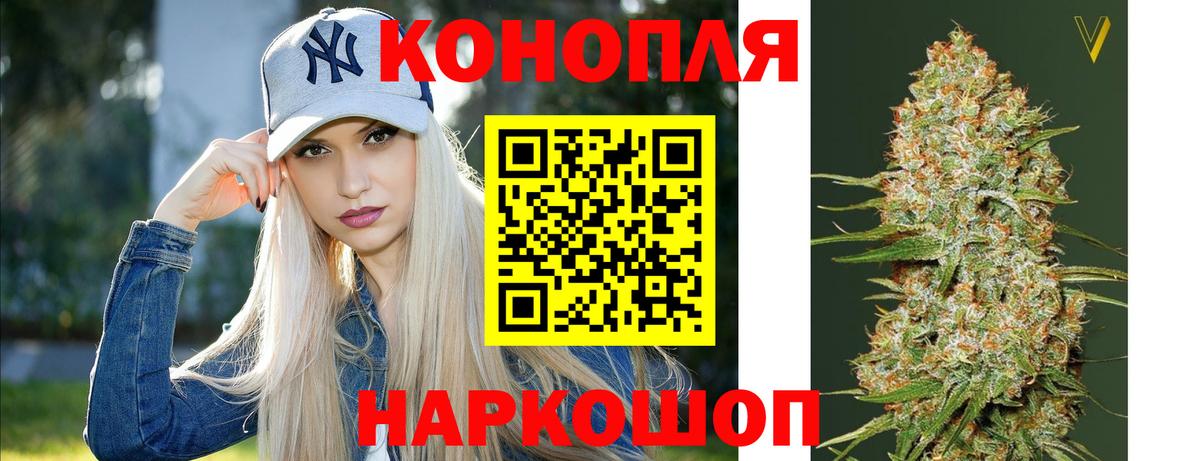 Бошки Шишки ГИДРОПОН  Каннабис семена  Вход с VPN  Канабис индика  Амурск 